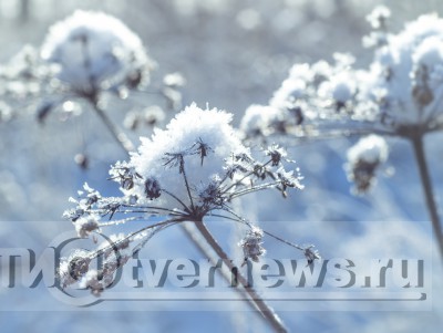 В Тверской области установится солнечная и морозная погода до -10 - Новости ТИА