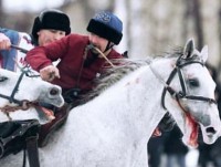 После кровавой киргизской забавы в Москве двух искалеченных лошадей пытаются спасти в Тверской области - новости ТИА