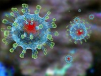 Восприимчивость к коронавирусу зависит от группы крови - новости ТИА