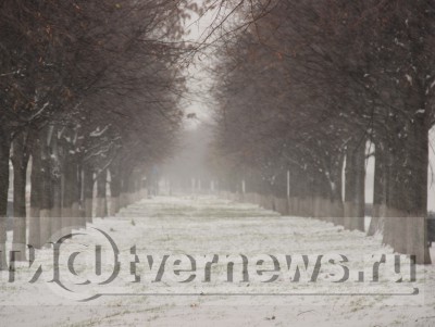 Вьюга, снегопад и мороз: что ждёт Тверскую область в ближайшие дни - новости ТИА