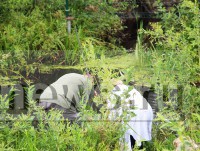 Следователи проводят проверку по факту загрязнения рек Орши и Осиновки и отравления людей - Новости ТИА