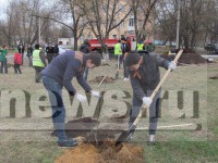 В Твери на территории городской больницы № 6 заложен яблоневый сад - Новости ТИА