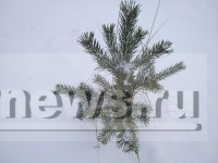 В Тверскую область с началом рабочей недели придет похолодание - новости ТИА