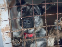 фестиваль народная рыбалка конаково фестиваль народная рыбалка конаково