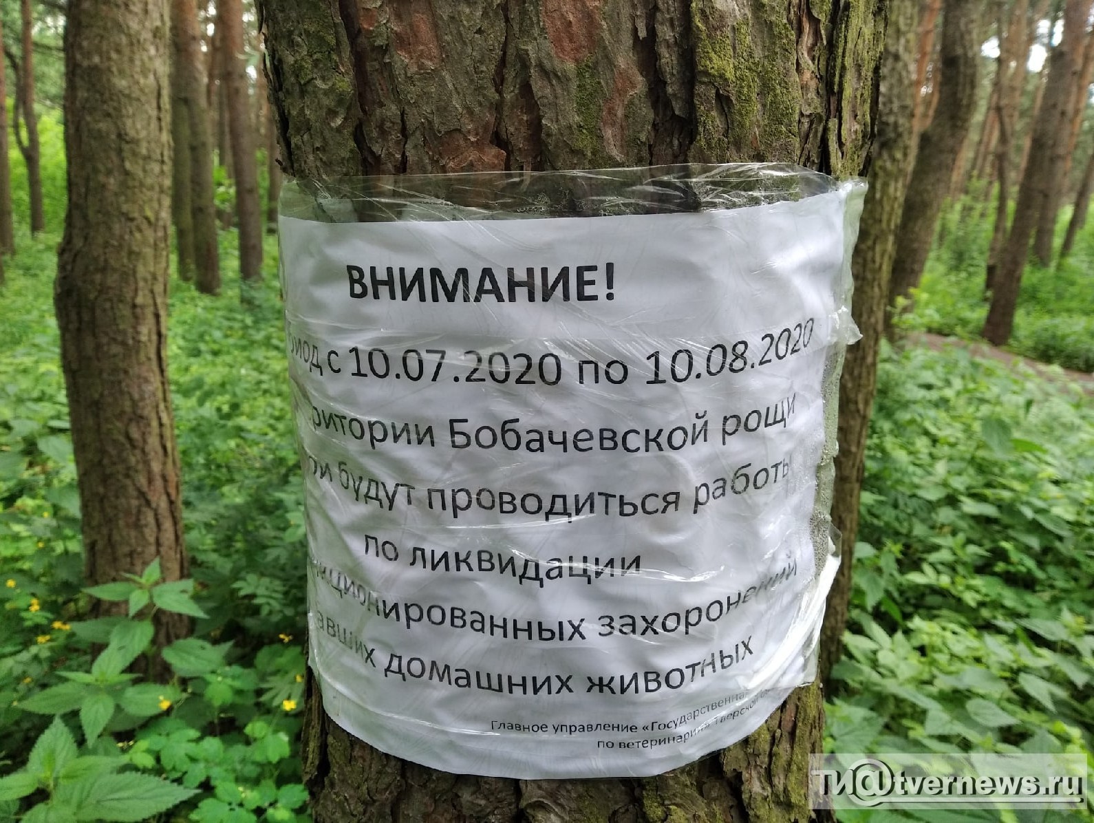 <p></p>