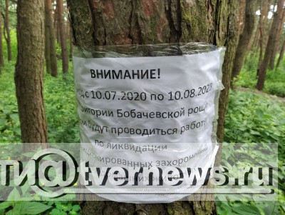 В Бобачёвской роще Твери будут ликвидировать кладбище домашних животных  - Новости ТИА