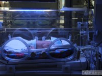 Новая Детская областная клиническая больница станет частью медицинского городка в Твери - новости ТИА