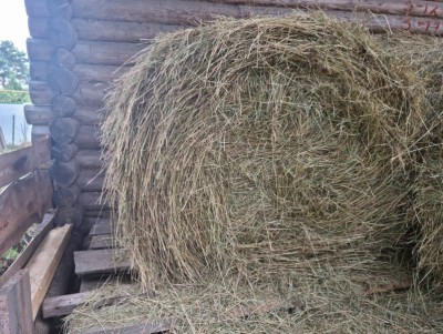 В Тверской области тракторист украл полтонны сена - новости ТИА