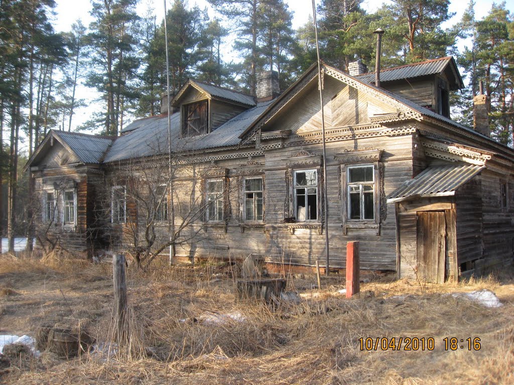 Случайность или поджог: история пожара в старой усадьбе и гибели двух женщин