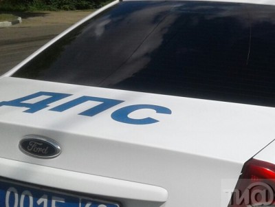 Два человека пострадали в аварии с лосем в Тверской области - Новости ТИА