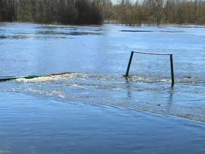В Тверской области река Молога затопила дачи - Новости ТИА