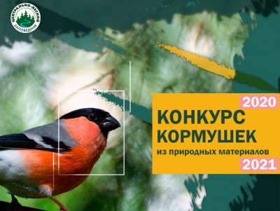 В Тверской области выберут лучшую кормушку для птиц - новости ТИА