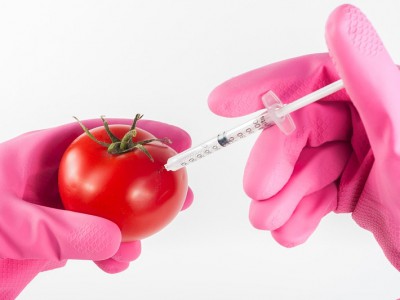 В РФ запрещён ввоз некоторых китайских продуктов из-за ГМО - новости ТИА