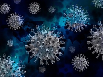 Учёные раскрыли механизм перехода коронавируса от животных к людям - Новости ТИА