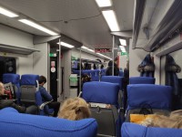В РЖД рассказали об особенной рассадке пассажиров в поездах из-за коронавируса - Новости ТИА