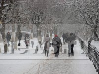 Снегопад и похолодание: водителей и пешеходов призывают к осторожности - Новости ТИА