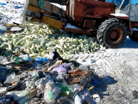 За год в Тверской области уничтожили 50 тонн санкционных фруктов и 40 килограммов сыра - Новости ТИА