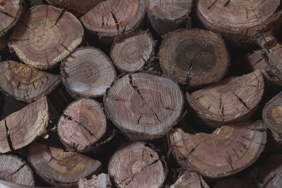 В Тверской области прокурор оштрафовал ИП за свалку древесных отходов - Новости ТИА