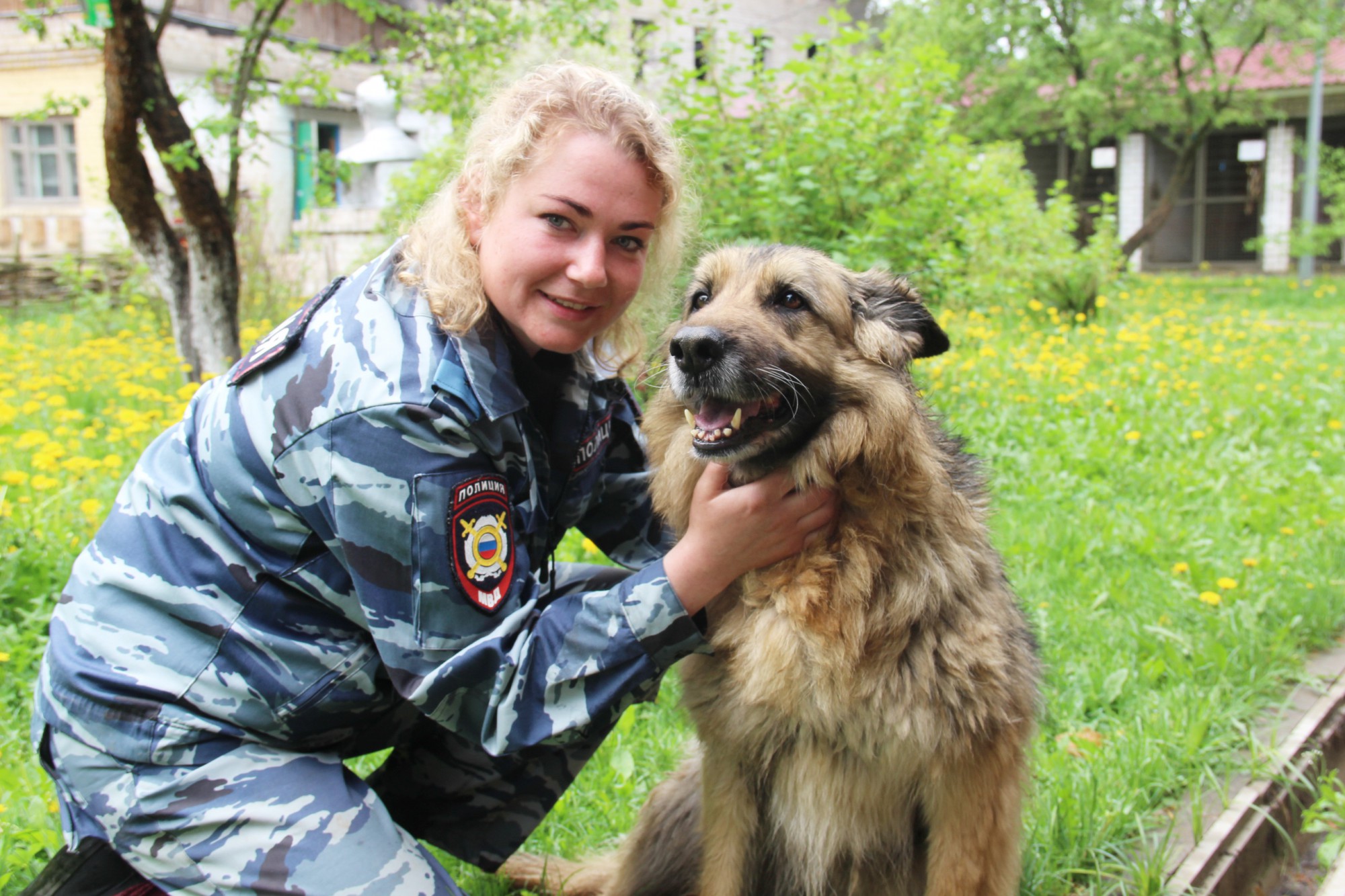 Как живут полицейские служебные собаки в Твери