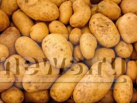 В Тверской области подорожали картошка и сосиски - Новости ТИА