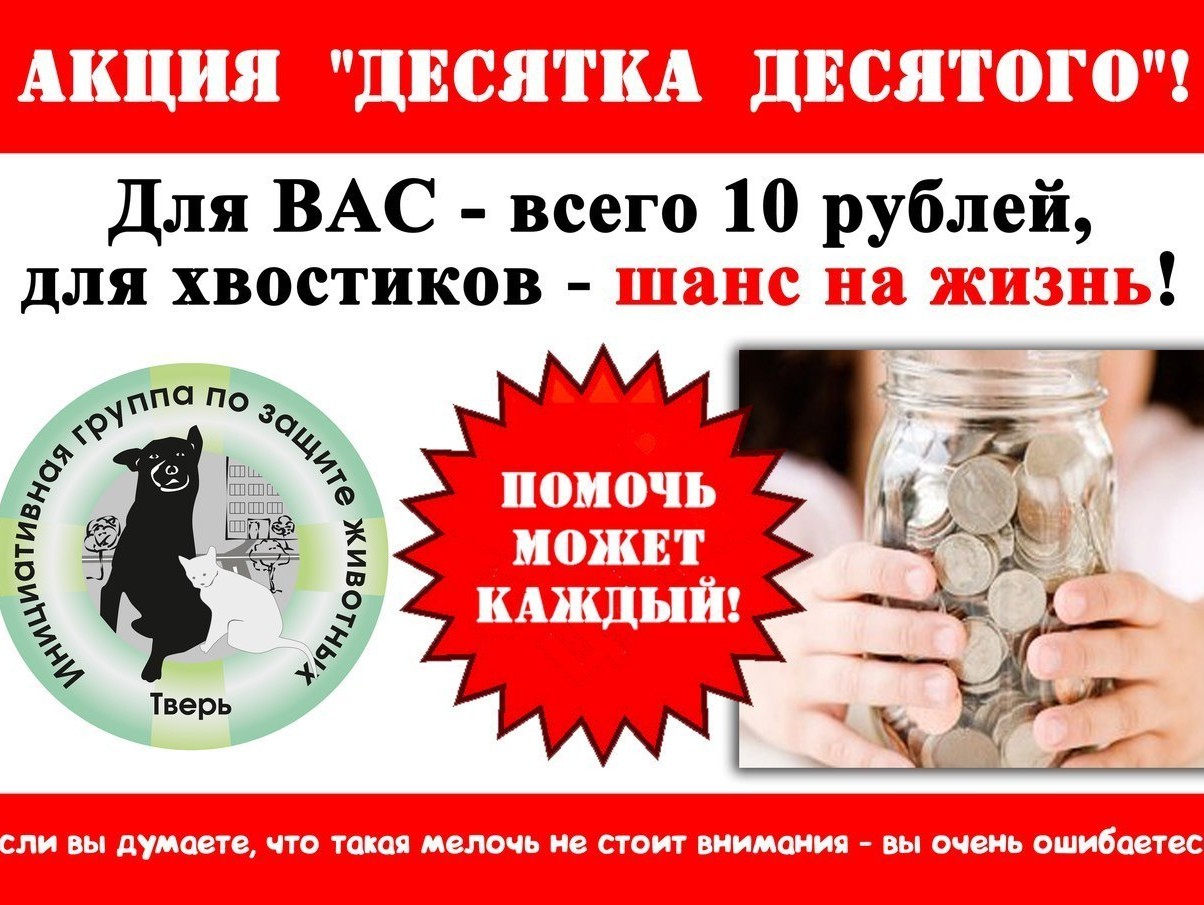 <strong>Автор: ТИА</strong><p></p>
