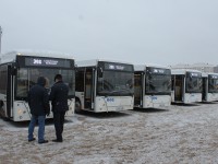 В Твери на маршруты №208 и №52 выйдут новые автобусы марки МАЗ - Новости ТИА