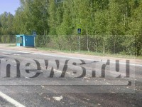 Под Тверью несколько километров шоссе усыпаны биоотходами - внутренностями животных - Новости ТИА