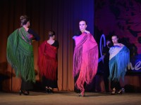 Хореографическая студия «Astel» представила новый танец с шалями на Всероссийком фестивале фламенко  - Новости ТИА