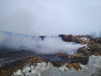 В Тверской области сожгли огромную свалку древесных отходов - новости ТИА