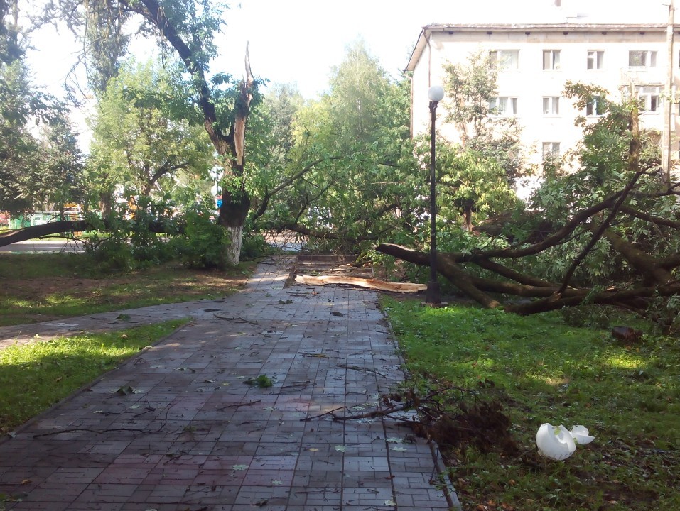 фото из ВК, автор: Андрей Фадеенко фото из ВК, автор: Андрей Фадеенко