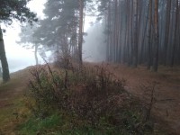В Тверской области ожидается туман - новости ТИА