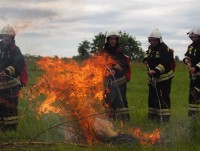 Условный торфяной пожар на территории Конаковского района тушили почти 500 человек и вертолет КА-32А - Новости ТИА