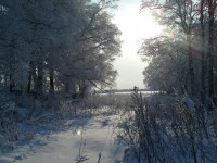 В Тверской области ожидаются морозы до – 10 °C - Новости ТИА