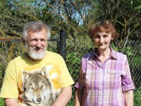 Русский Даррелл попал в бюрократический капкан: центр диких животных в Тверской области оказался под ударом - новости ТИА