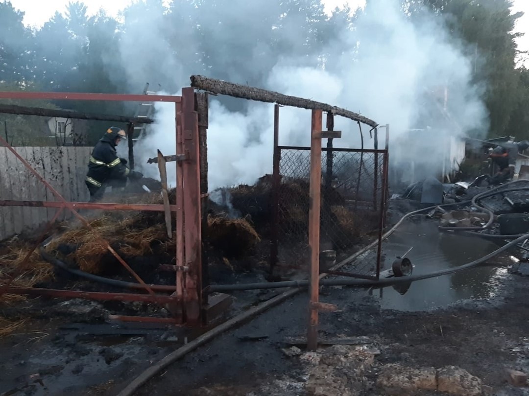 В Тверской области женщина погибла на пожаре в своем доме | 28.08.2022 |  Тверь - БезФормата