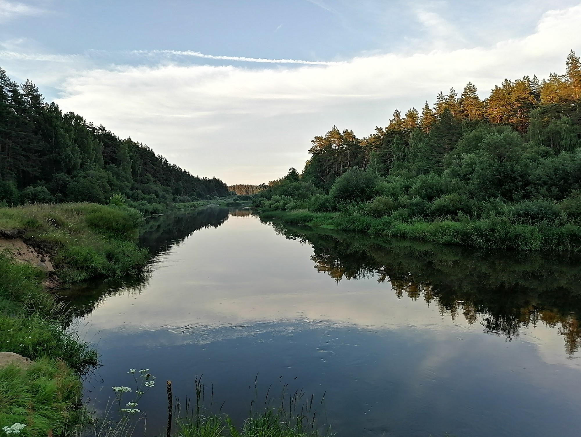 река тьма тверская область