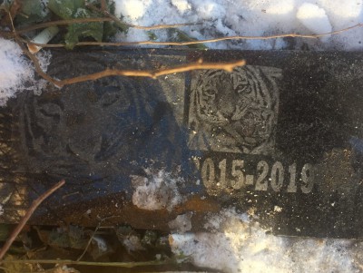 В Твери нашли мемориальную табличку о похороненном тигре - новости ТИА