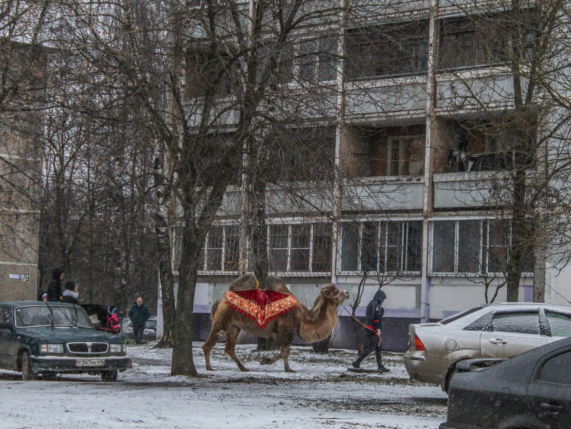 <strong>Фото: Евгений Плотников</strong><p></p>