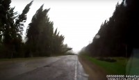 Uragan V Tverskoj Oblasti Kosil Derevya Kak Travu