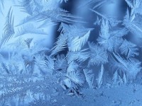В Тверской области в конце января ночью может холодать до -17°C - Новости ТИА