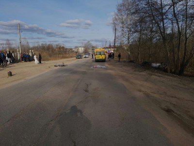 В Тверской области водитель насмерть сбил пожилую велосипедистку - Новости ТИА
