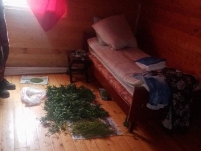 В Тверской области изъяли почти 7 кг растительных наркотиков - новости ТИА