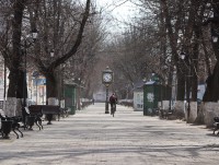 Карантин в Твери: опустевшие улицы города и ставший "золотым" имбирь - Новости ТИА
