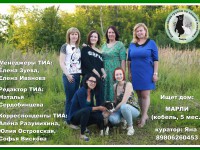Редакция ТИА приняла участие в проекте «Сила в милосердии» и взяла шефство над подопечным приюта для бездомных животных – щенком Марли - Новости ТИА