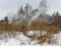 В Тверской области торфяники горят даже зимой  - Новости ТИА