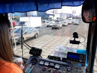 По ком звонит тверской трамвай: один день из жизни пса Анзора, Михалны, Натальи и её "трамвайки" - Новости ТИА