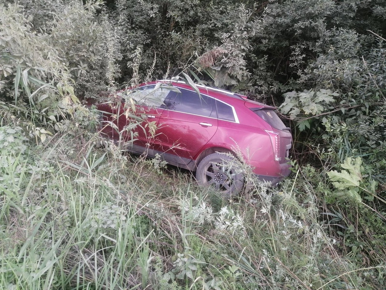 Два водителя пострадали в аварии под Тверью | 22.08.2022 | Тверь -  БезФормата