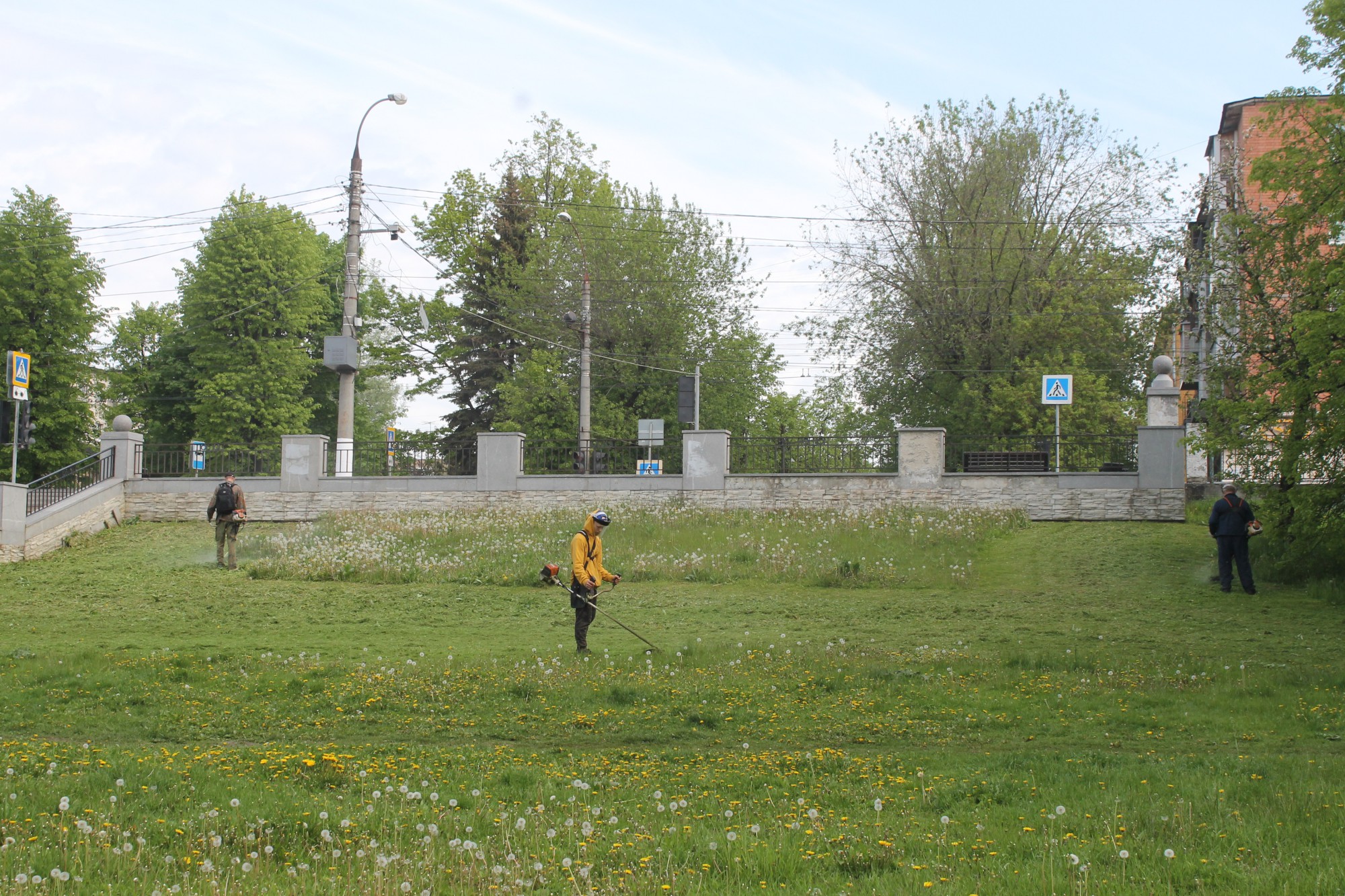 В Твери обновили цветник в форме городского герба | 27.05.2020 | Тверь -  БезФормата