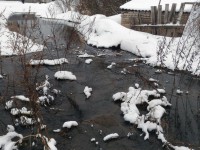 В Тверской области из-за сточных вод серьезно загрязнена река, впадающая в Селигер  - новости ТИА