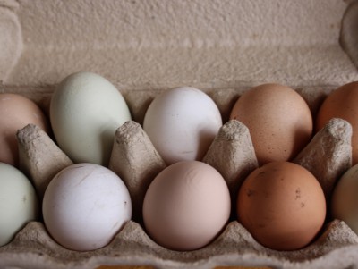 Прокуроры начали проверки по фактам повышения цен на яйца и бытовую химию - Новости ТИА